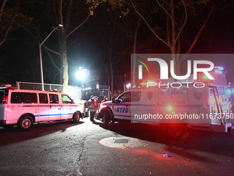 Several people are in custody after a 26-year-old man is killed in a shooting inside a NYCHA apartment in the Melrose section of Bronx, New...