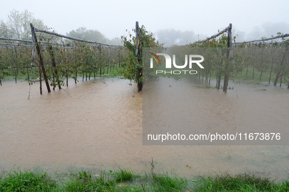 Floods and flooding occur in the village of Maclas, Loire department in France, on October 17, 2024. 