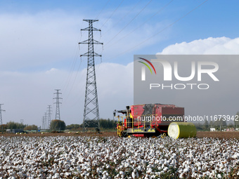 A cotton picking machine picks cotton in Xingfu village, Aksu prefecture, in Xinjiang, China, on October 17, 2024. (