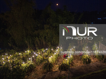 Workers tend to newly cultivated Pitahaya or dragon fruit (Hylocereus undatus) at a plantation in Garut, West Java, Indonesia, on October 17...