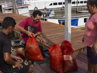 A man arrives with goods at the mouth of the Amazon River in Afua, Para, Brazil, on September 27, 2024. (