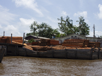 A lumber mill is located at the mouth of the Amazon River in Afua, Para, Brazil, on September 28, 2024. (