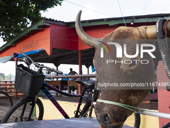 A bicycle is decorated with an ox head in Afua, Para, Brazil, on September 29, 2024. (