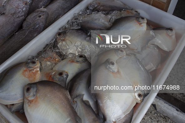 A fish market is at the mouth of the Amazon River in Afua, Para, Brazil, on September 29, 2024. 