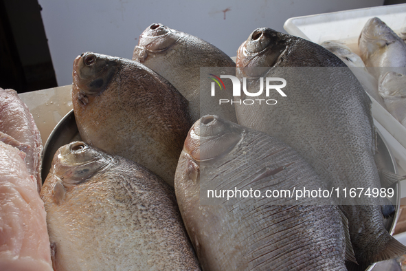 A fish market is at the mouth of the Amazon River in Afua, Para, Brazil, on September 29, 2024. 