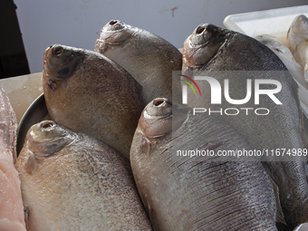 A fish market is at the mouth of the Amazon River in Afua, Para, Brazil, on September 29, 2024. (