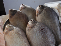 A fish market is at the mouth of the Amazon River in Afua, Para, Brazil, on September 29, 2024. (