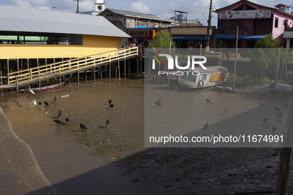 The Afua waterfront with boats during low tide in Afua, Para, Brazil, on September 29, 2024. 