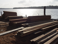 Wood is used to build the streets of the city of Afua, located at the mouth of the Amazon River, in Afua, Para, Brazil, on September 29, 202...