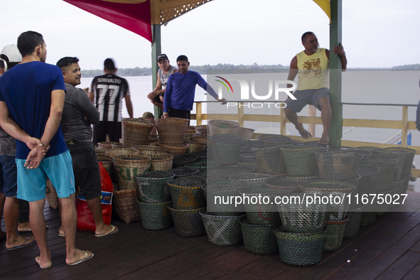 Acai fruit traders, known as the black gold of the Amazon, are at the municipal market in Afua, Para, Brazil, on September 30, 2024. 