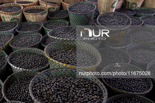 Acai fruit, known as the black gold of the Amazon, is at the municipal market in Afua, Para, Brazil, on September 30, 2024. 