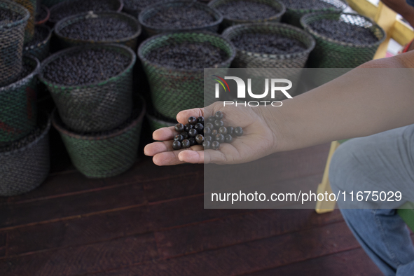 Acai fruit, known as the black gold of the Amazon, is at the municipal market in Afua, Para, Brazil, on September 30, 2024. 