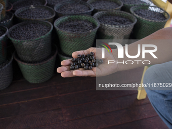 Acai fruit, known as the black gold of the Amazon, is at the municipal market in Afua, Para, Brazil, on September 30, 2024. (