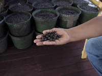 Acai fruit, known as the black gold of the Amazon, is at the municipal market in Afua, Para, Brazil, on September 30, 2024. (