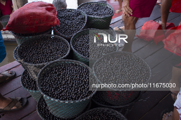 Acai fruit, known as the black gold of the Amazon, is at the municipal market in Afua, Para, Brazil, on September 30, 2024. 