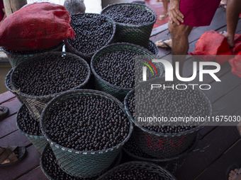 Acai fruit, known as the black gold of the Amazon, is at the municipal market in Afua, Para, Brazil, on September 30, 2024. (