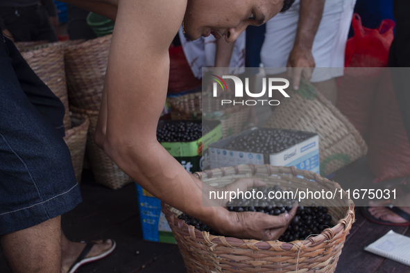 Acai fruit traders, known as the black gold of the Amazon, are at the municipal market in Afua, Para, Brazil, on September 30, 2024. 