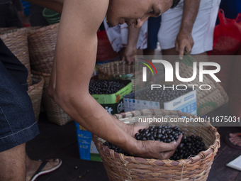 Acai fruit traders, known as the black gold of the Amazon, are at the municipal market in Afua, Para, Brazil, on September 30, 2024. (