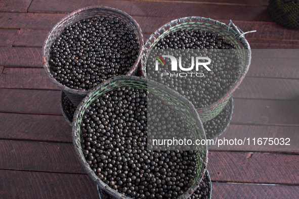 Acai fruit, known as the black gold of the Amazon, is at the municipal market in Afua, Para, Brazil, on September 30, 2024. 