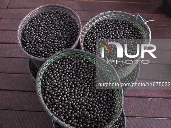 Acai fruit, known as the black gold of the Amazon, is at the municipal market in Afua, Para, Brazil, on September 30, 2024. (