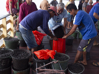 Acai fruit traders, known as the black gold of the Amazon, are at the municipal market in Afua, Para, Brazil, on September 30, 2024. (