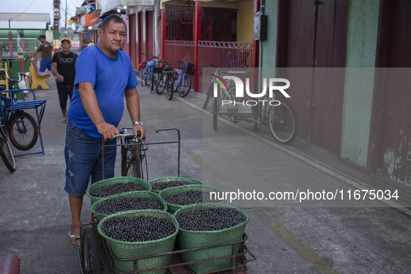 Acai fruit traders, known as the black gold of the Amazon, are at the municipal market in Afua, Para, Brazil, on September 30, 2024. 