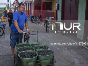 Acai fruit traders, known as the black gold of the Amazon, are at the municipal market in Afua, Para, Brazil, on September 30, 2024. (