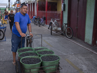 Acai fruit traders, known as the black gold of the Amazon, are at the municipal market in Afua, Para, Brazil, on September 30, 2024. (