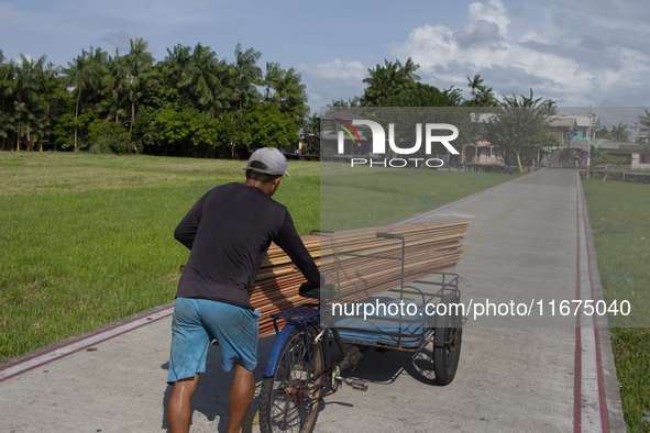 A man carries wood used to build the streets of the city of Afua in Afua, Para, Brazil, on October 1, 2024. 