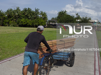 A man carries wood used to build the streets of the city of Afua in Afua, Para, Brazil, on October 1, 2024. (