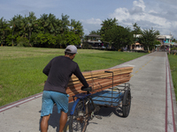 A man carries wood used to build the streets of the city of Afua in Afua, Para, Brazil, on October 1, 2024. (