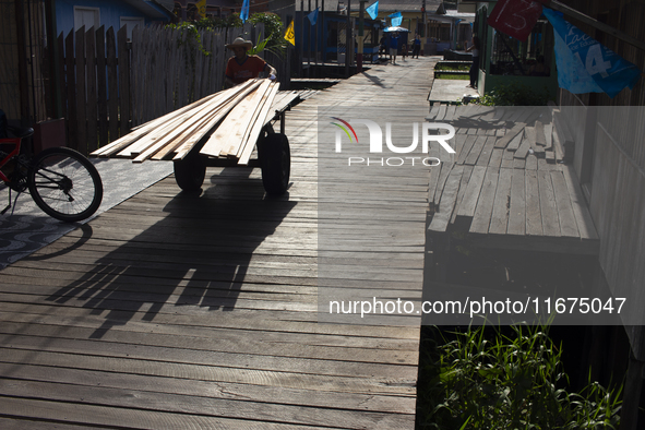 A man carries wood used to build the streets of the city of Afua in Afua, Para, Brazil, on October 1, 2024. 