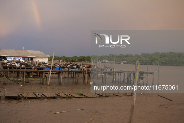 In Afua, Para, Brazil, on October 1, 2024, it is late afternoon at the mouth of the Amazon River. 