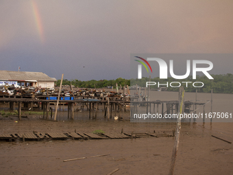 In Afua, Para, Brazil, on October 1, 2024, it is late afternoon at the mouth of the Amazon River. (