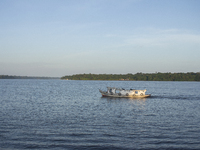 A typical Amazonian boat sails at the mouth of the Amazon River in Afua, Para, Brazil, on October 2, 2024. (