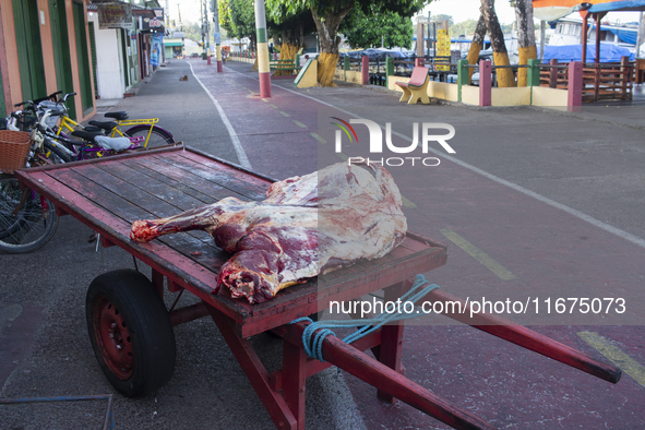 Beef is in a wheelbarrow on the street in Afua, Para, Brazil, on October 2, 2024. 