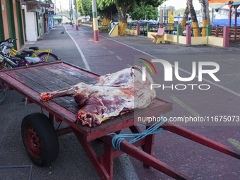 Beef is in a wheelbarrow on the street in Afua, Para, Brazil, on October 2, 2024. (