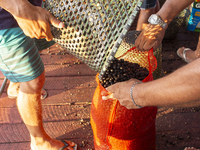 Acai fruit traders, known as the black gold of the Amazon, are at the municipal market in Afua, Para, Brazil, on October 2, 2024. (