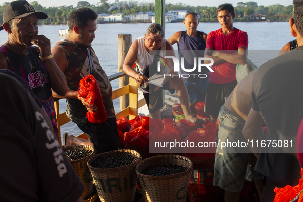 Acai fruit traders, known as the black gold of the Amazon, are at the municipal market in Afua, Para, Brazil, on October 2, 2024. 