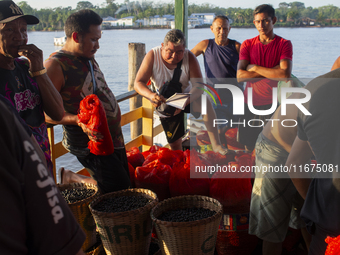 Acai fruit traders, known as the black gold of the Amazon, are at the municipal market in Afua, Para, Brazil, on October 2, 2024. (