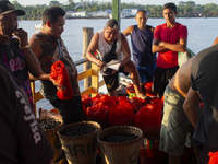 Acai fruit traders, known as the black gold of the Amazon, are at the municipal market in Afua, Para, Brazil, on October 2, 2024. (