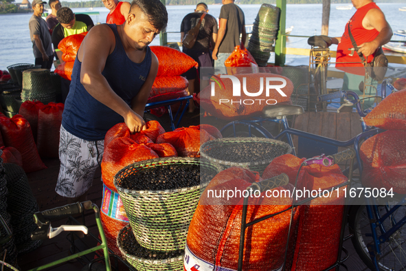 Acai fruit traders, known as the black gold of the Amazon, are at the municipal market in Afua, Para, Brazil, on October 2, 2024. 