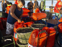 Acai fruit traders, known as the black gold of the Amazon, are at the municipal market in Afua, Para, Brazil, on October 2, 2024. (