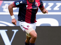 Dan Ndoye of Bologna FC during the Serie A Enilive match between Bologna FC and Parma Calcio 1903 at Stadio Renato Dall'Ara on October 06, 2...