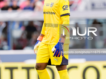 Zion Suzuki of Parma Calcio 1903 looks on during the Serie A Enilive match between Bologna FC and Parma Calcio 1903 at Stadio Renato Dall'Ar...