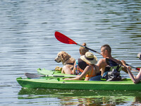 People kayak on rented kayaks on Sudomie Lake in the Cassubia region, Poland, on July 20, 2024. (