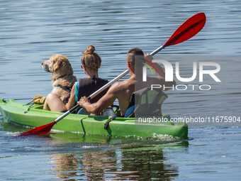 People kayak on rented kayaks on Sudomie Lake in the Cassubia region, Poland, on July 20, 2024. (