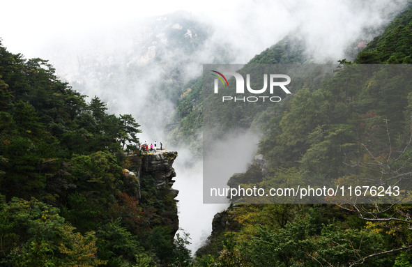 A sea of clouds is seen on Lushan Mountain, a World Cultural Heritage site, in Jiujiang, Jiangxi province, China, on October 17, 2024. 