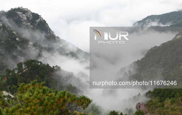 A sea of clouds is seen on Lushan Mountain, a World Cultural Heritage site, in Jiujiang, Jiangxi province, China, on October 17, 2024. 