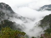 A sea of clouds is seen on Lushan Mountain, a World Cultural Heritage site, in Jiujiang, Jiangxi province, China, on October 17, 2024. (